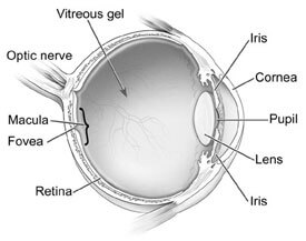 Eye Diagram