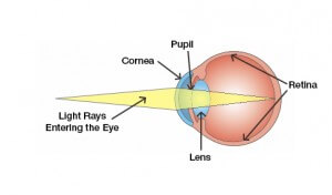 Chart Illustrating How an Eye Works